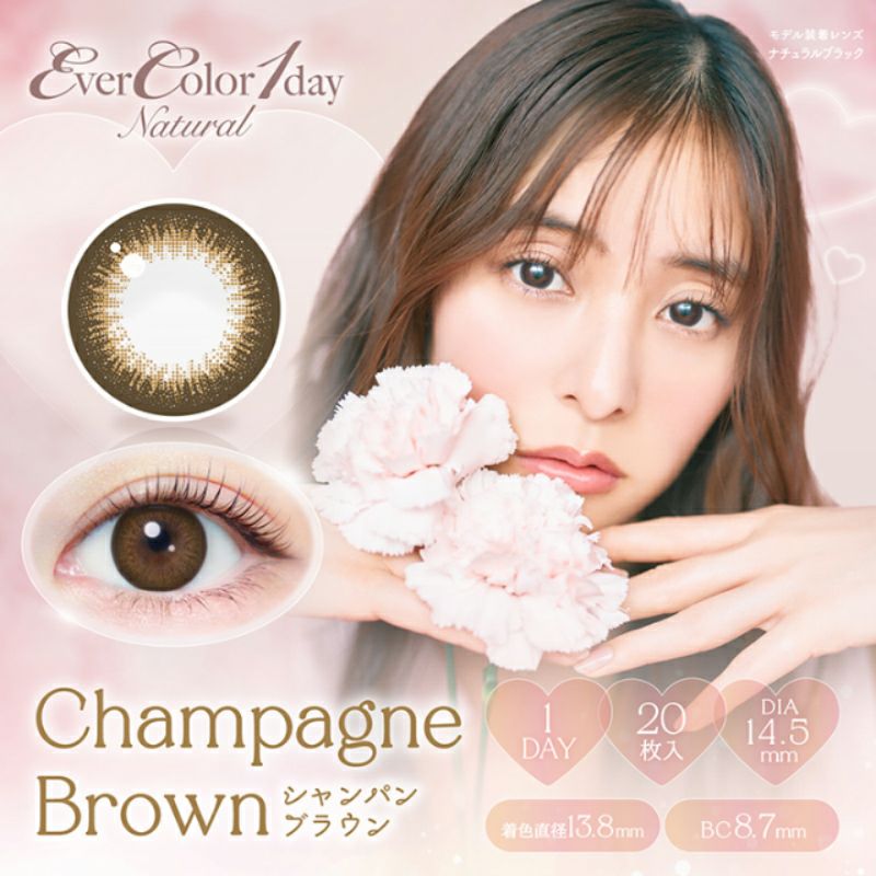 新木優子さんイメージモデルEverColor1day NATURAL(エバーカラー