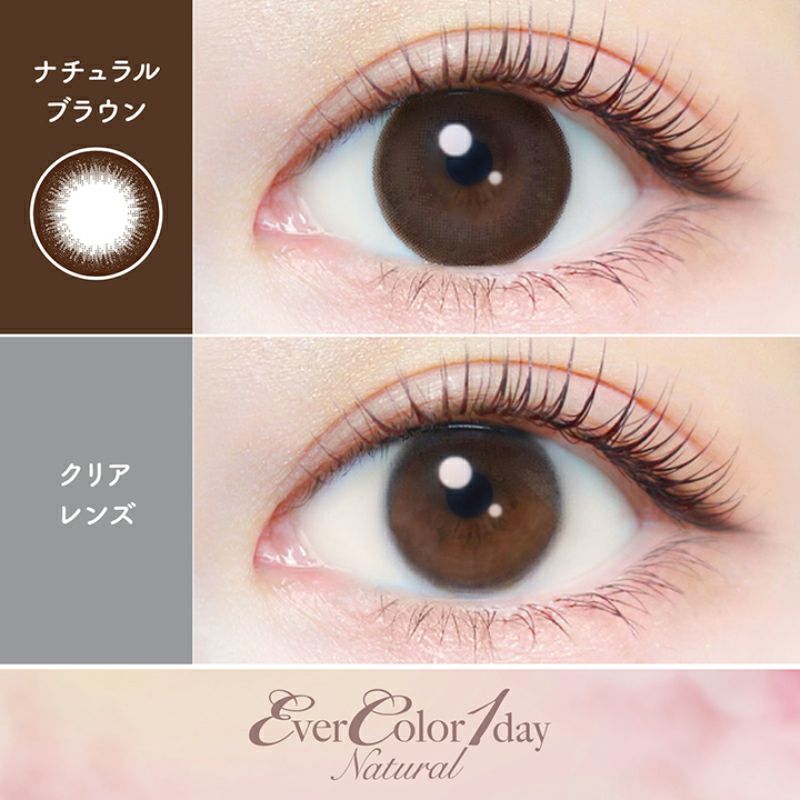 新木優子さんイメージモデルEverColor1day NATURAL(エバーカラー