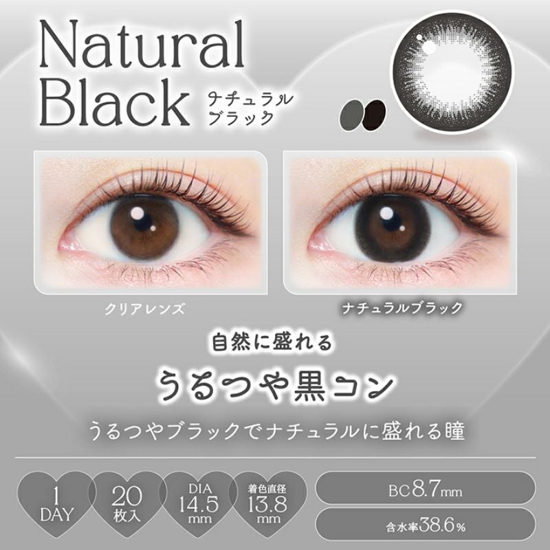 新木優子さんイメージモデルEverColor1day NATURAL(エバーカラー