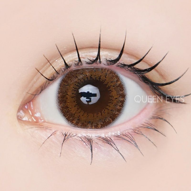 佐々木希さんイメージモデルFLANMY フランミー チョコタルト(1箱10枚