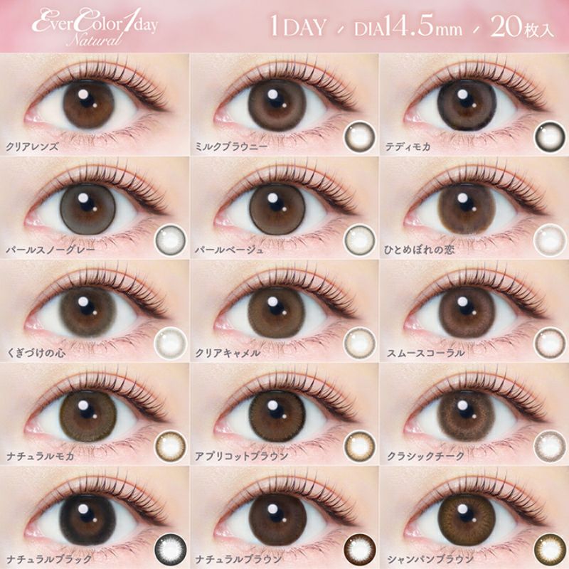 新木優子さんイメージモデルEverColor1day NATURAL(エバーカラー