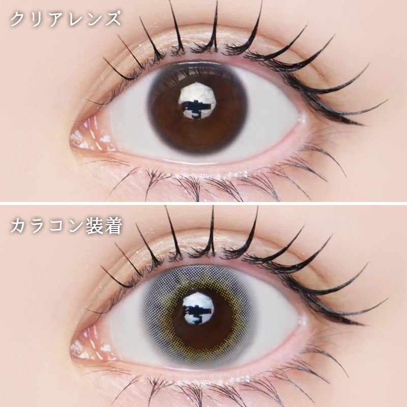 渡辺直美さんプロデュース！ N's COLLECTION 1DAY エヌズコレクション