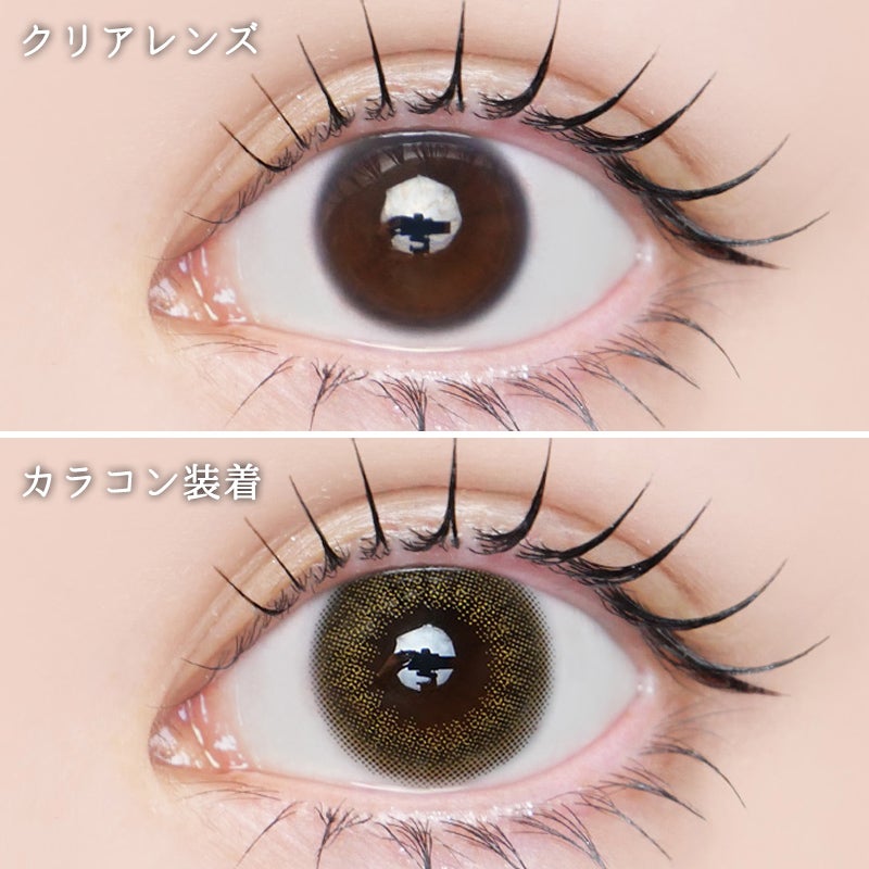 渡辺直美さんプロデュース！ N's COLLECTION 1DAY エヌズコレクション