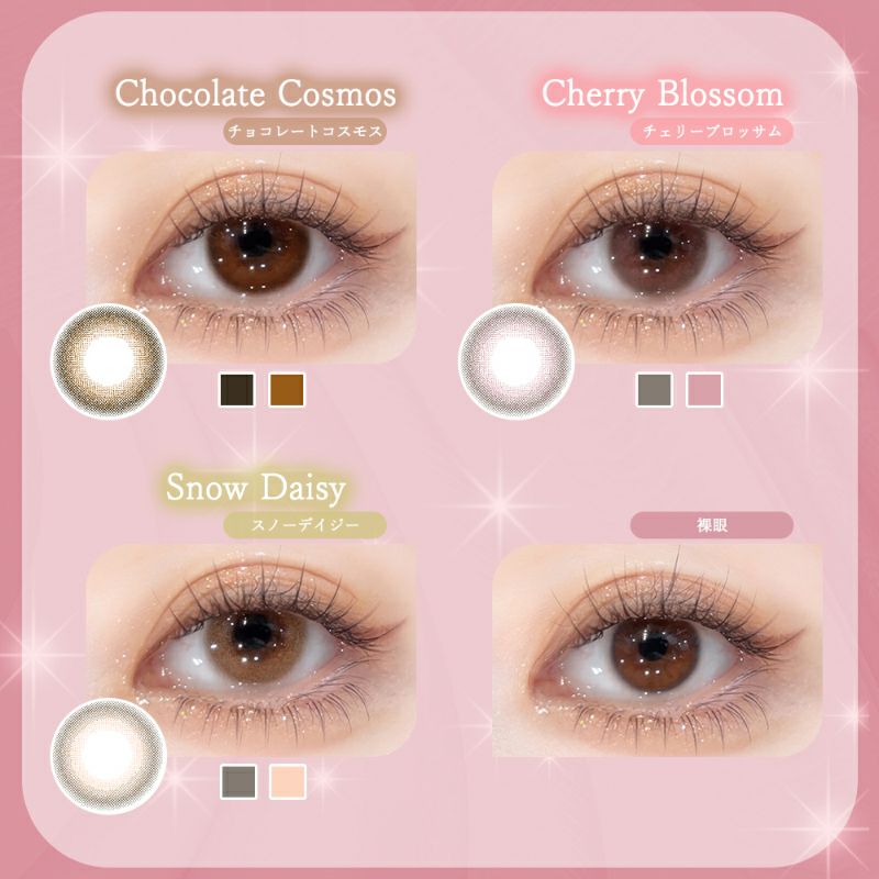 Diya Bloom UV Moist ダイヤブルームUVモイスト チョコレートコスモス