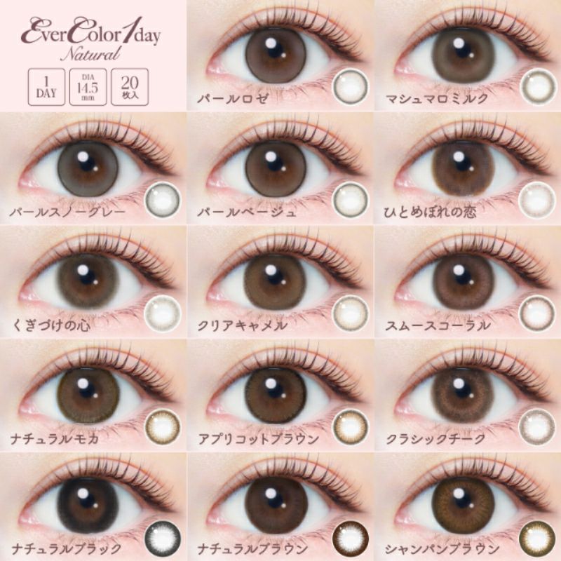 新木優子さんイメージモデルEverColor1day NATURAL(エバーカラー