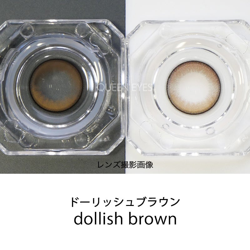 道楽　DOWLUCK　ドウラク　アブラゼミ　ブラウンファー　レアカラー 宮脇咲良ちゃんイメモ＆プロデュース♪MOLAK 1MONTH (モラクマンスリー