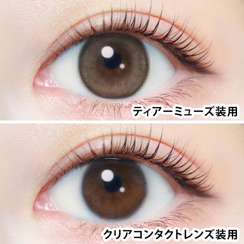 新木優子さんイメージモデルEverColor1day NATURAL(エバーカラー