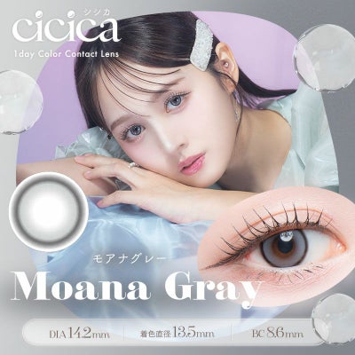 YouTuber鹿の間プロデュースカラコンcicica シシカ モアナグレー(1箱10 