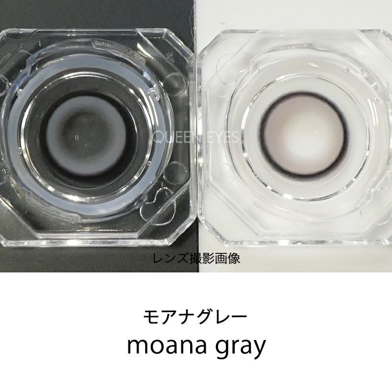 YouTuber鹿の間プロデュースカラコンcicica シシカ モアナグレー(1箱10