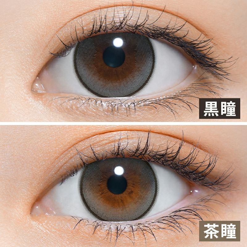 ZEAL ズイール　コアラ　グレー Color Contact Lenses - Koala Gray（コアラグレー） – よしミチ