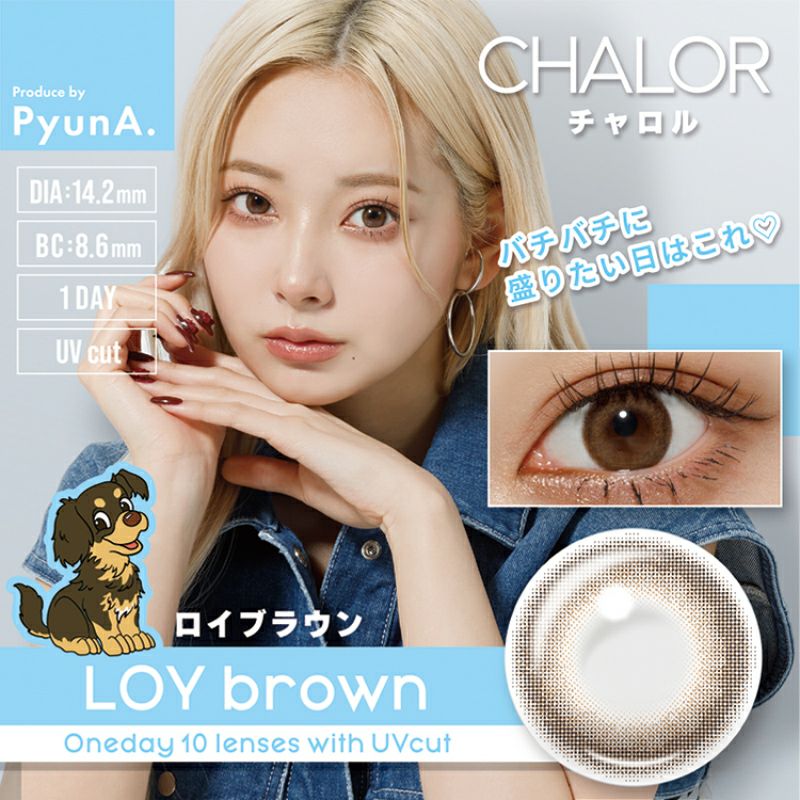 ぴょなプロデュース♪CHALOR チャロル ロイブラウン(1箱10枚入り