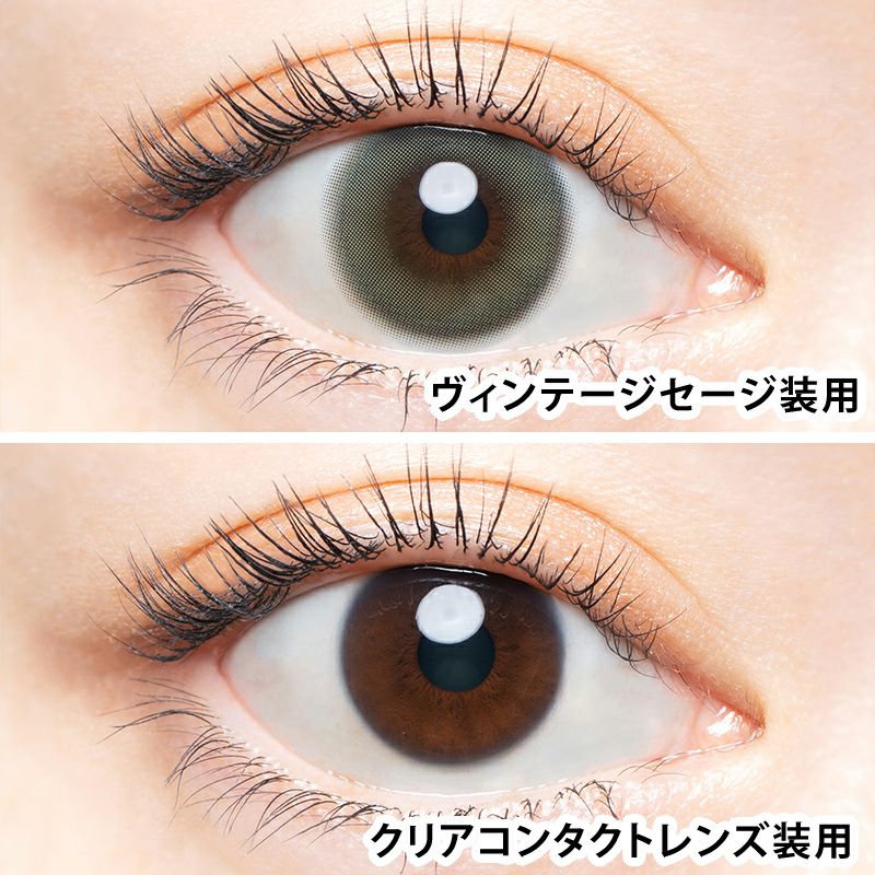 益若つばさデザインプロデュースAngelColor BambiSeries1day Vintage